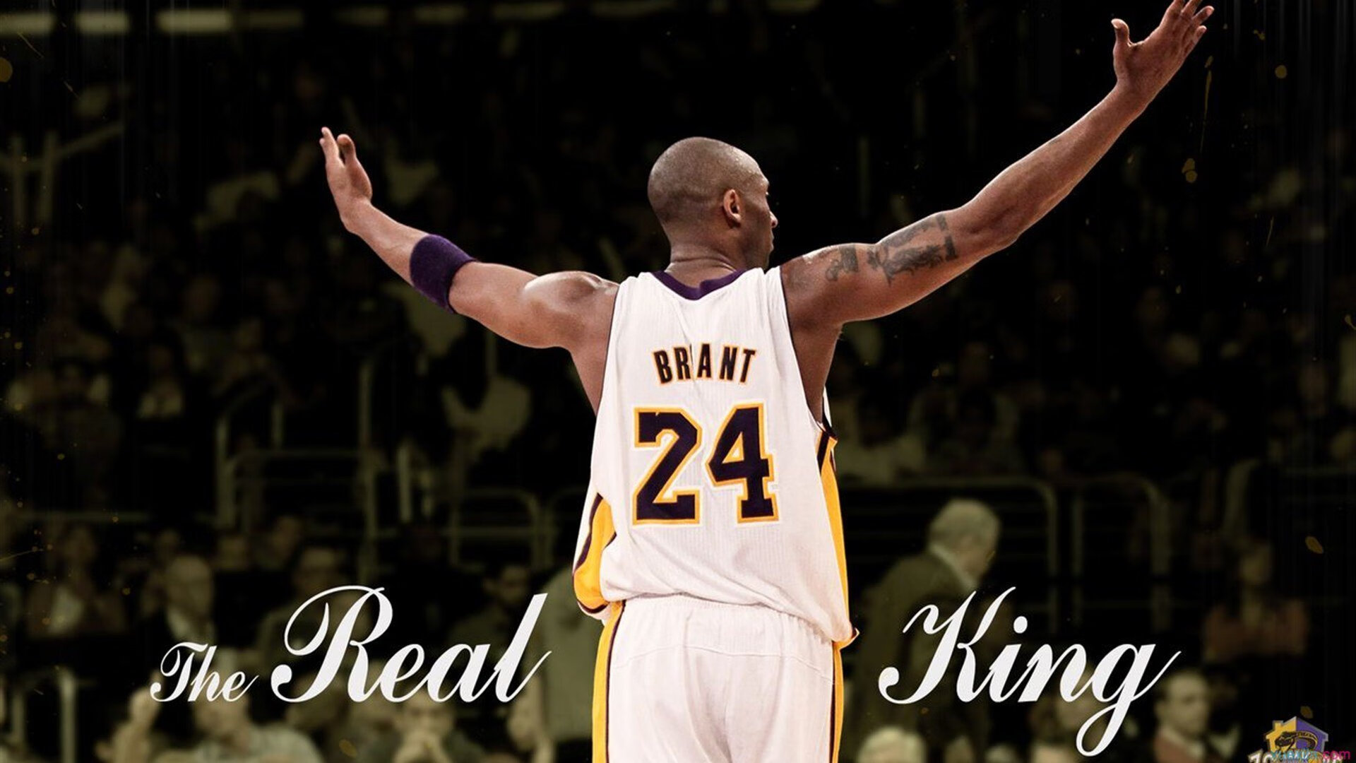 字母哥新星关键助攻表现惊艳，篮网未来可期！